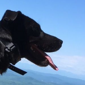 Meet your Posher, Dhayne